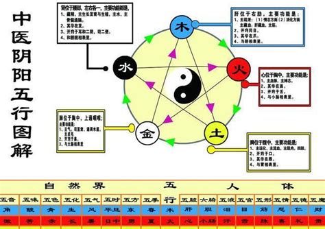 心 五行|心字的五行属什么